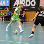 Dívčí turnaj okresů v Milevsku ovládl OFS České Budějovice