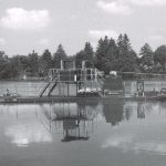 Ozdravení rybníku Vajgar nabírá nový směr. Mohli bychom inspirovat celou republiku, míní přírodovědec