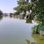 Ozdravení rybníku Vajgar nabírá nový směr. Mohli bychom inspirovat celou republiku, míní přírodovědec