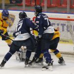 Hokej: Reprezentanti a dvakrát jisté play off. Akademii Motoru se vrací lesk