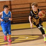 VIDEO: Mladí písečtí Sršni nedali soupeřům žádnou naději