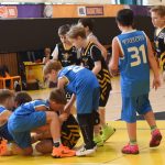 VIDEO: Mladí písečtí Sršni nedali soupeřům žádnou naději