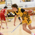 VIDEO: Písečtí Sršni ze dna tabulky nevylétli