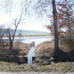 Blíží se jarní tah žab. Dobrovolníci staví na Strakonicku zábrany u silnic