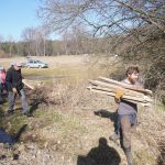 Blíží se jarní tah žab. Dobrovolníci staví na Strakonicku zábrany u silnic