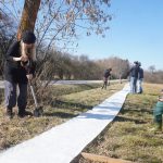 Blíží se jarní tah žab. Dobrovolníci staví na Strakonicku zábrany u silnic