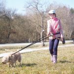 Blíží se jarní tah žab. Dobrovolníci staví na Strakonicku zábrany u silnic