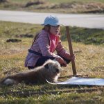 Blíží se jarní tah žab. Dobrovolníci staví na Strakonicku zábrany u silnic