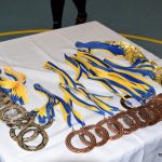 FUTSAL: Ovečky obhájily titul nad Delfíny, bronz bere Chelsea