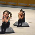 Sokolská akademie v Milevsku – nevídaná show, na kterou je vždycky vyprodáno