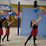 Sokolská akademie v Milevsku – nevídaná show, na kterou je vždycky vyprodáno