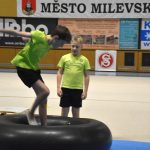 Sokolská akademie v Milevsku – nevídaná show, na kterou je vždycky vyprodáno