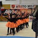 Sokolská akademie v Milevsku – nevídaná show, na kterou je vždycky vyprodáno