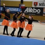 Sokolská akademie v Milevsku – nevídaná show, na kterou je vždycky vyprodáno