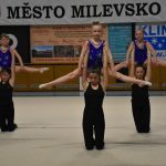 Sokolská akademie v Milevsku – nevídaná show, na kterou je vždycky vyprodáno