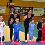 Sokolská akademie v Milevsku – nevídaná show, na kterou je vždycky vyprodáno