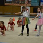 Sokolská akademie v Milevsku – nevídaná show, na kterou je vždycky vyprodáno