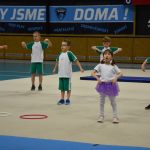 Sokolská akademie v Milevsku – nevídaná show, na kterou je vždycky vyprodáno