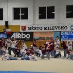 Sokolská akademie v Milevsku – nevídaná show, na kterou je vždycky vyprodáno