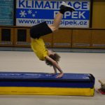 Sokolská akademie v Milevsku – nevídaná show, na kterou je vždycky vyprodáno