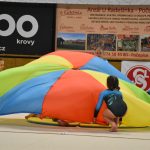 Sokolská akademie v Milevsku – nevídaná show, na kterou je vždycky vyprodáno