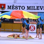 Sokolská akademie v Milevsku – nevídaná show, na kterou je vždycky vyprodáno