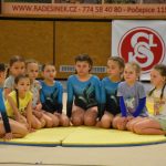 Sokolská akademie v Milevsku – nevídaná show, na kterou je vždycky vyprodáno