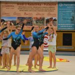 Sokolská akademie v Milevsku – nevídaná show, na kterou je vždycky vyprodáno