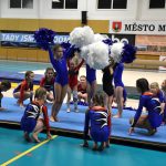 Sokolská akademie v Milevsku – nevídaná show, na kterou je vždycky vyprodáno