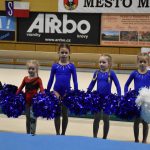 Sokolská akademie v Milevsku – nevídaná show, na kterou je vždycky vyprodáno