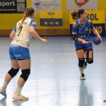 Písecké házenkářky si hravě poradily s Porubou