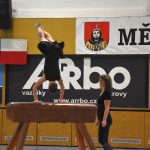 Sokolská akademie v Milevsku – nevídaná show, na kterou je vždycky vyprodáno