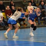 Písecké házenkářky si hravě poradily s Porubou