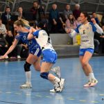 Písecké házenkářky si hravě poradily s Porubou