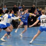 Písecké házenkářky si hravě poradily s Porubou