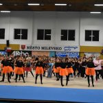 Sokolská akademie v Milevsku – nevídaná show, na kterou je vždycky vyprodáno