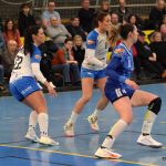 Písecké házenkářky si hravě poradily s Porubou