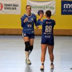 Písecké házenkářky si hravě poradily s Porubou