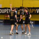 VIDEO: Písečtí florbalisté se výhrou nad Chomutovem naladili na play down