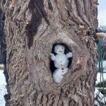 Fotografové, podělte se. Snímek měsíce pro Facebook Táborska je od Jarmily Ducháčkové z Bechyně