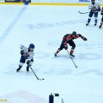 VIDEO: Stöhr mohl rozhodnout z trestného střílení o všech bodech! Kohouti pak prohráli s Wolves v prodloužení