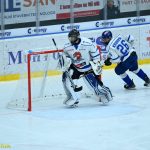 VIDEO: Stöhr mohl rozhodnout z trestného střílení o všech bodech! Kohouti pak prohráli s Wolves v prodloužení