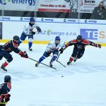 VIDEO: Stöhr mohl rozhodnout z trestného střílení o všech bodech! Kohouti pak prohráli s Wolves v prodloužení