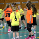 Házenkářské přípravky sbíraly nové zkušenosti v Milevsku