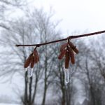 Nové titulní foto pro Facebook Milevských novin je od fotografa Petra Lívance