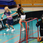 Elévky Milevska ovládly turnaj na domácí palubovce