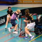 Elévky Milevska ovládly turnaj na domácí palubovce