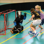 Elévky Milevska ovládly turnaj na domácí palubovce