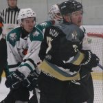 Hokej: Letos bez poháru. Loňský finalista z Hluboké vypadl, vedl jen chvíli  