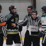 Hokej: Pouzar litoval, že dal doma jen jeden gól. Láká ho práce kriminalisty